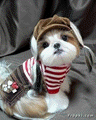 ATT000554.gif